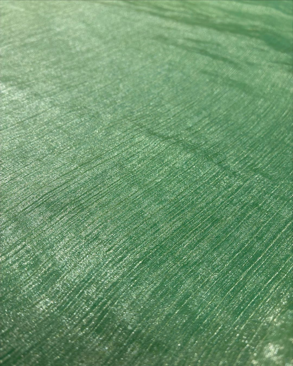 Mint Green Jimmy Choo Saree with Silver Lace Border