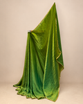 Meadow Elegance Two-Tone Saree