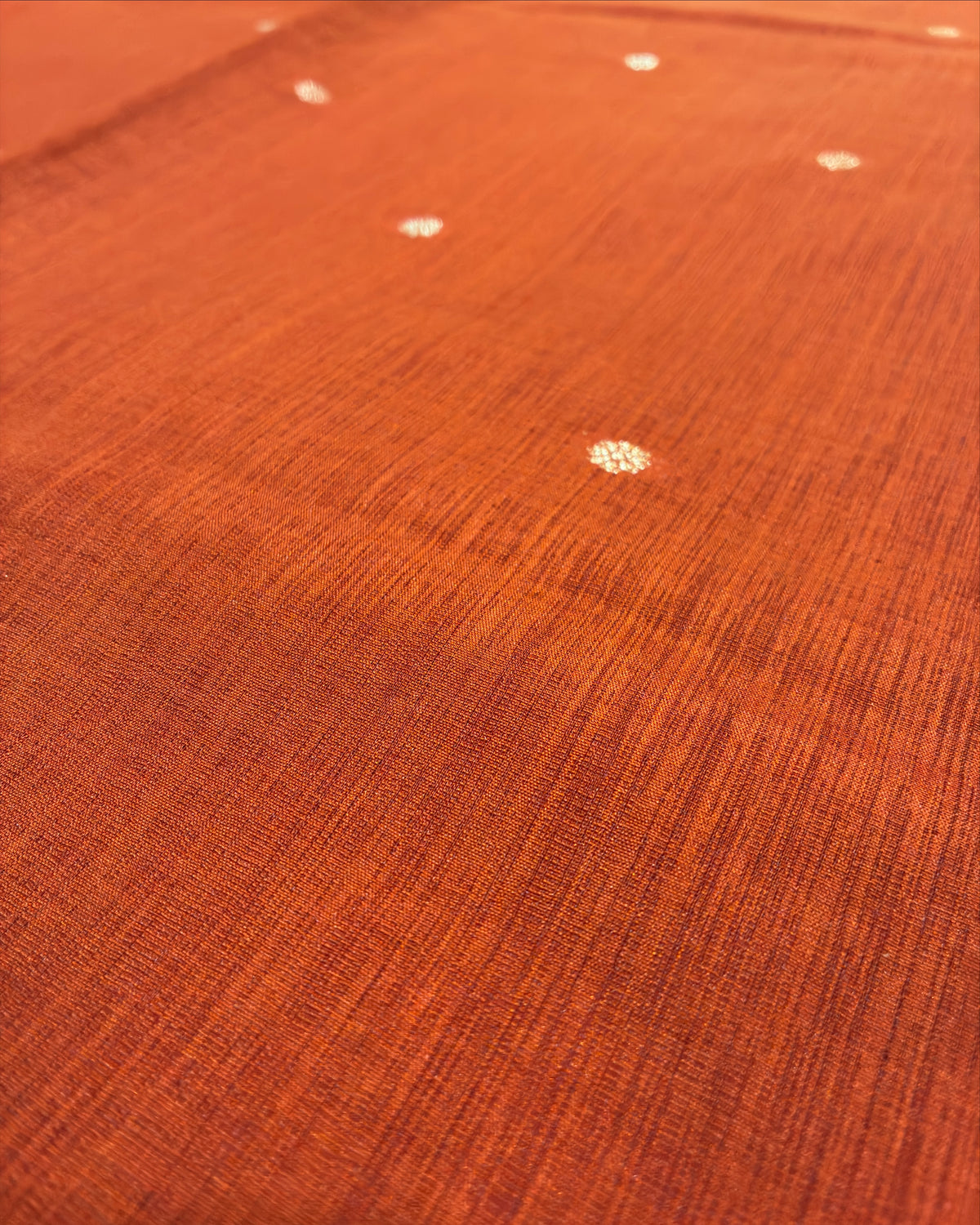 Elephant Border Terracotta Orange Silk Saree