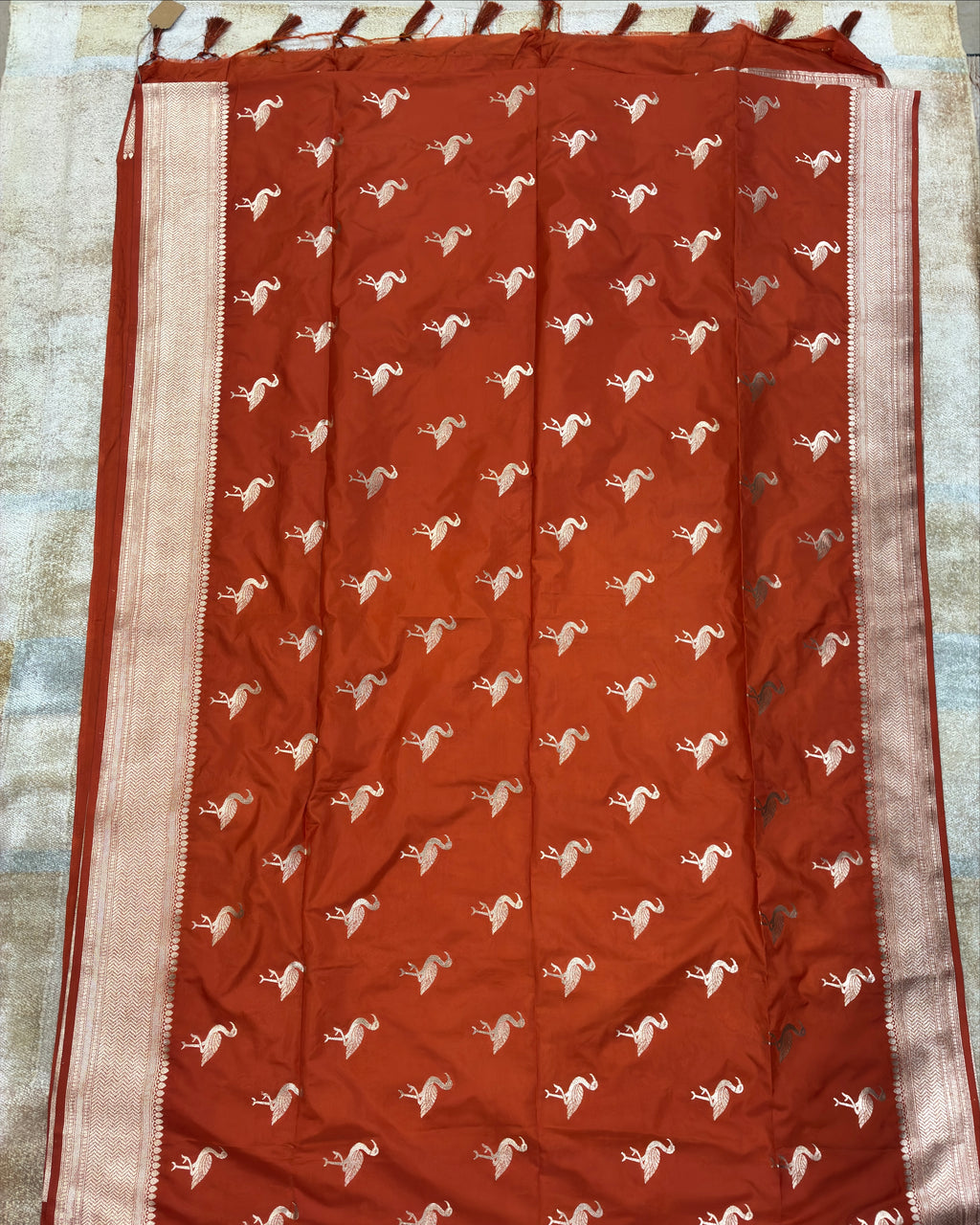 Swan Terracotta Orange Silk Saree