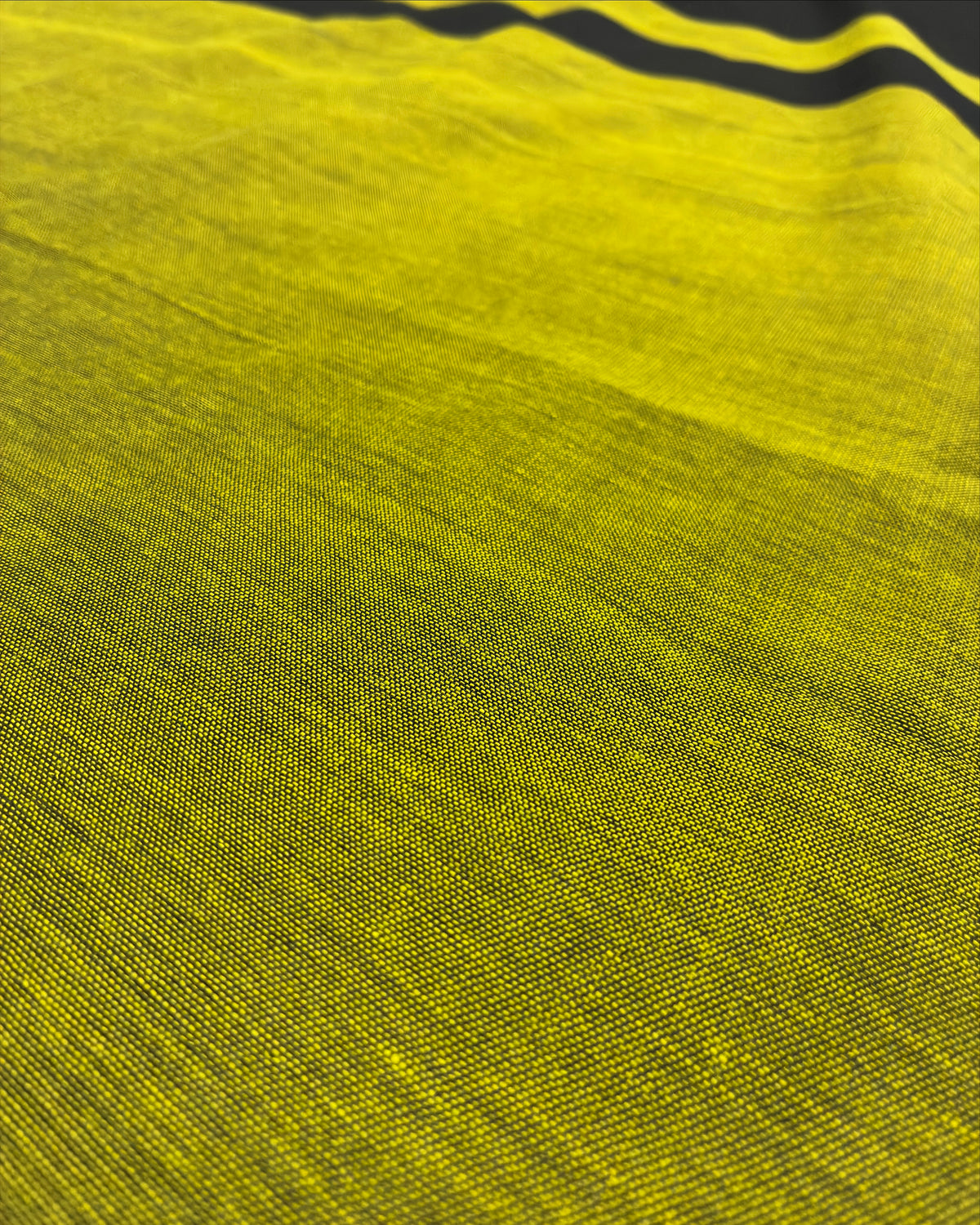 Olive Khadi Saree with Black Pallu