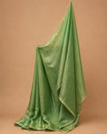 Mint Green Jimmy Choo Saree with Silver Lace Border